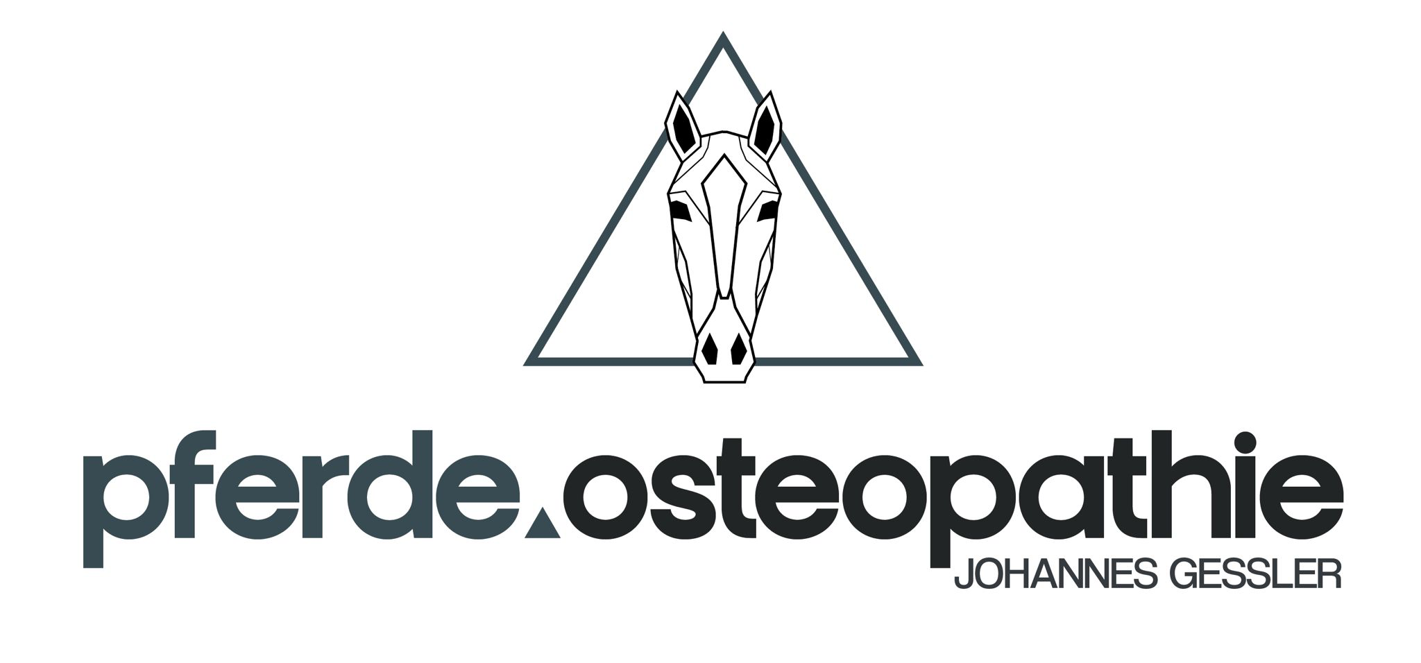 Pferdeosteopathie Johannes Gessler – Pferdekopf im Dreieck